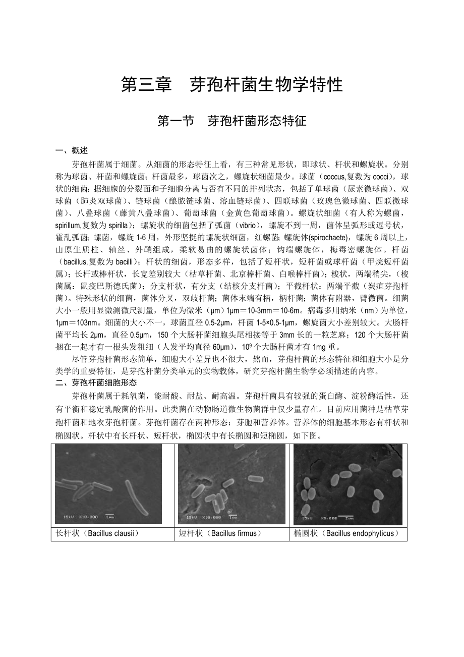 第三章芽孢杆菌生物学特性.doc_第1页