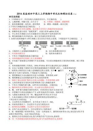 盐城田中高三期中考试模拟试卷.doc