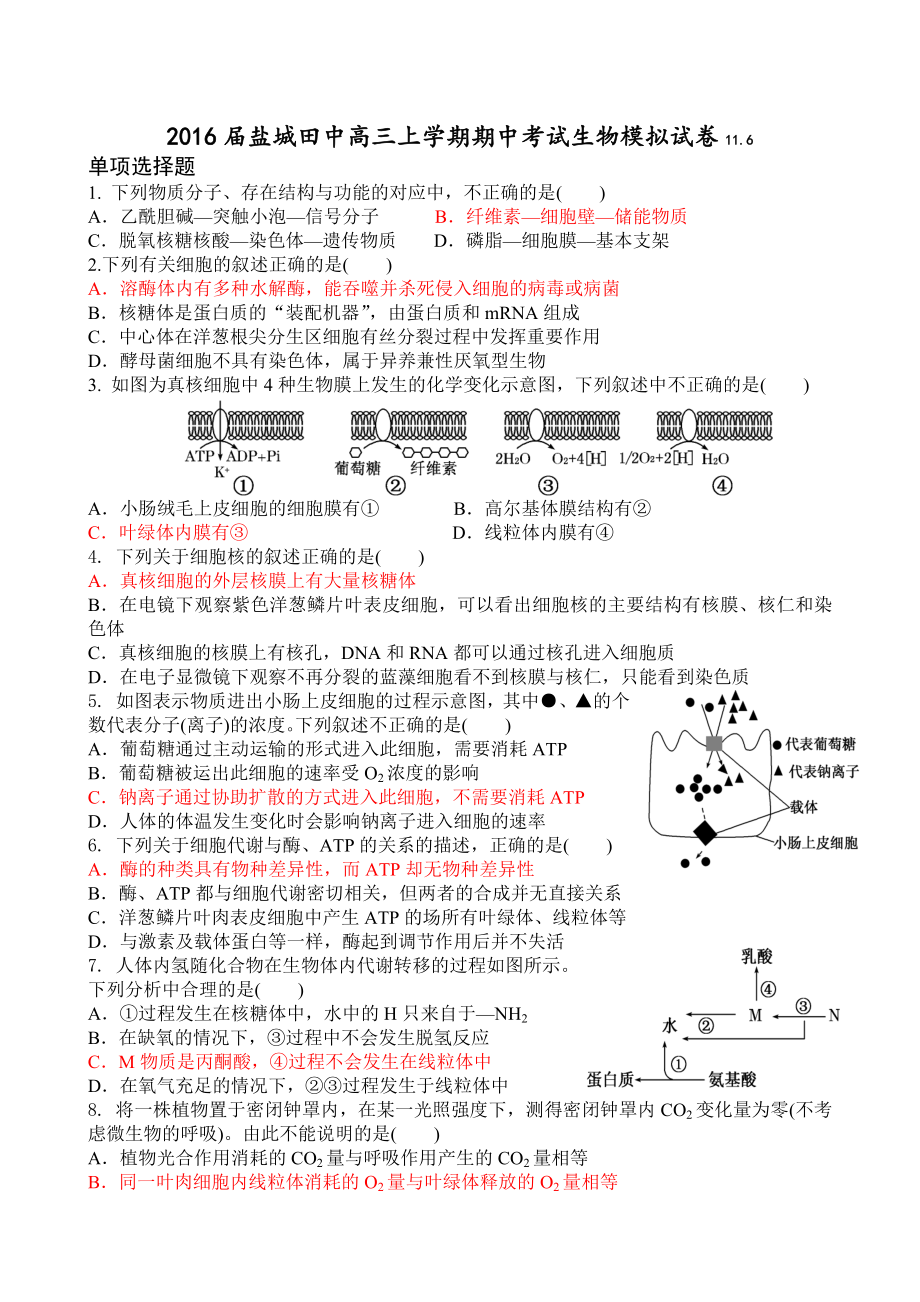 盐城田中高三期中考试模拟试卷.doc_第1页