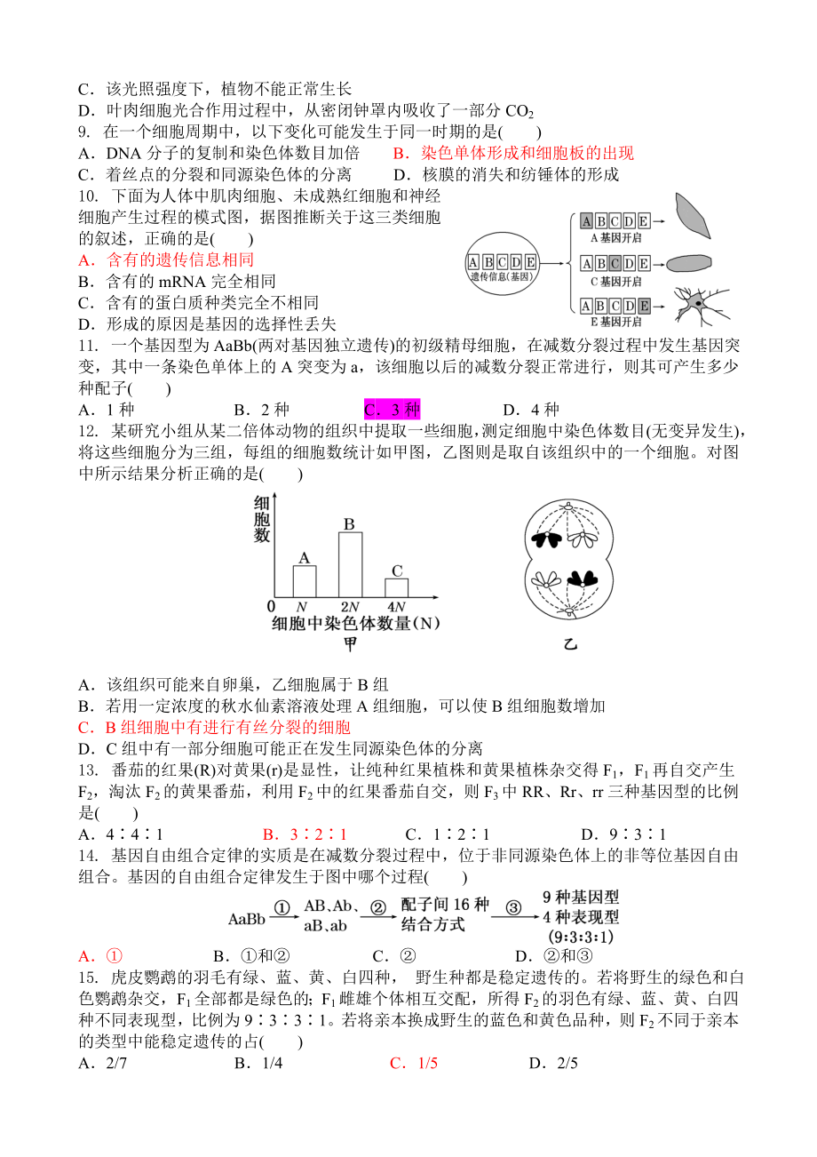 盐城田中高三期中考试模拟试卷.doc_第2页