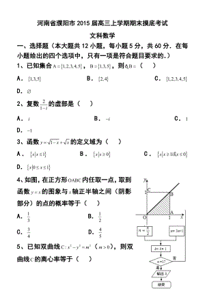 河南省濮阳市高三上学期期末摸底考试文科数学试题 及答案.doc