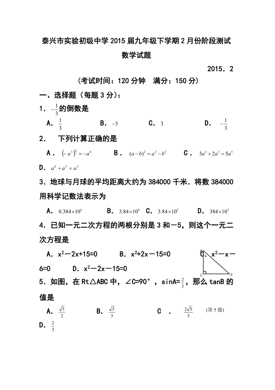 江苏省泰兴市实验初级中学九级下学期2月份阶段测试数学试题及答案.doc_第1页