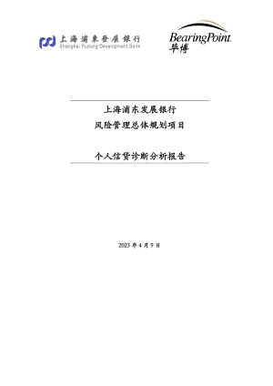 风险管理总体规划项目个人信贷诊断分析报告.doc