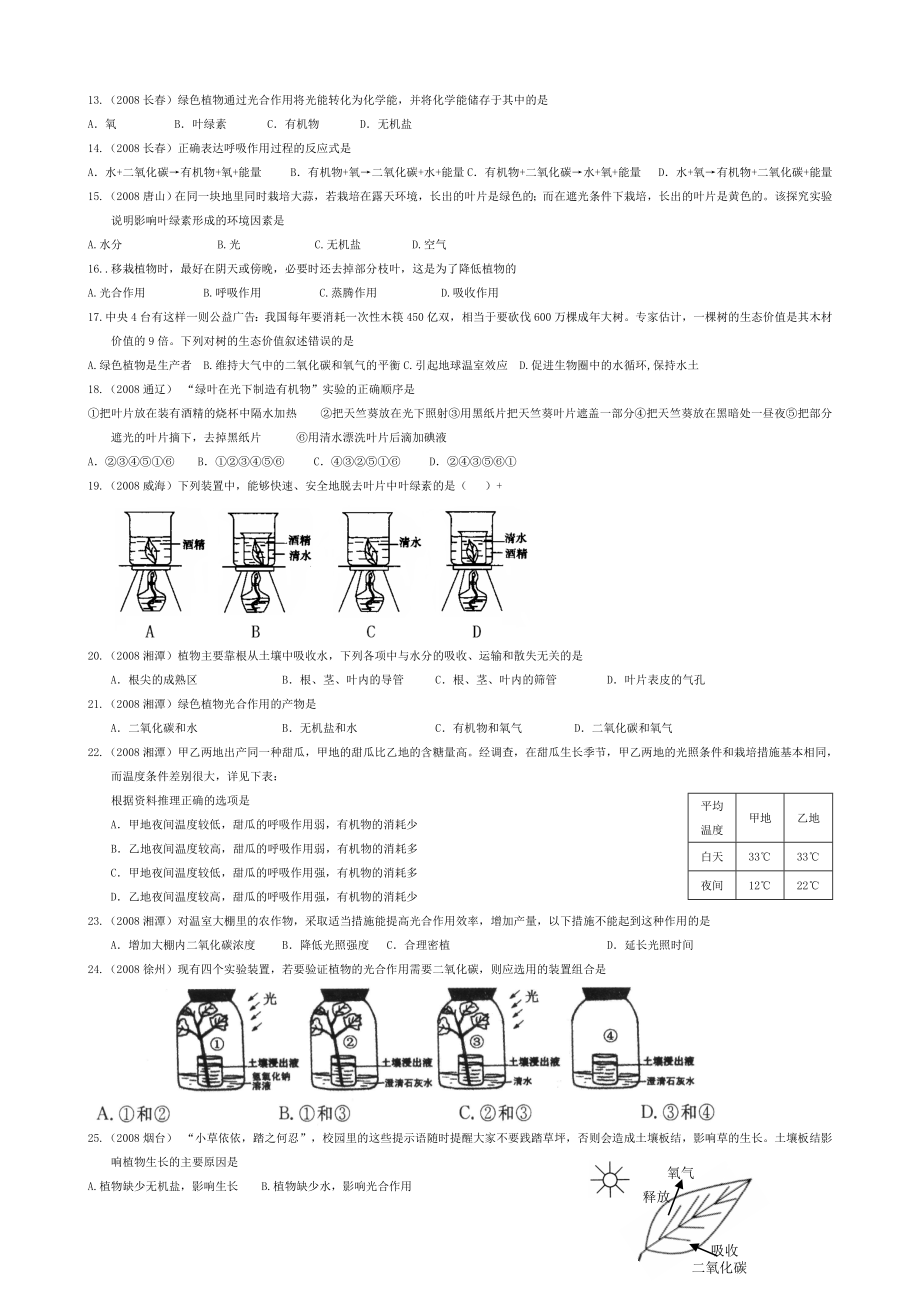 植物三大作用.doc_第2页