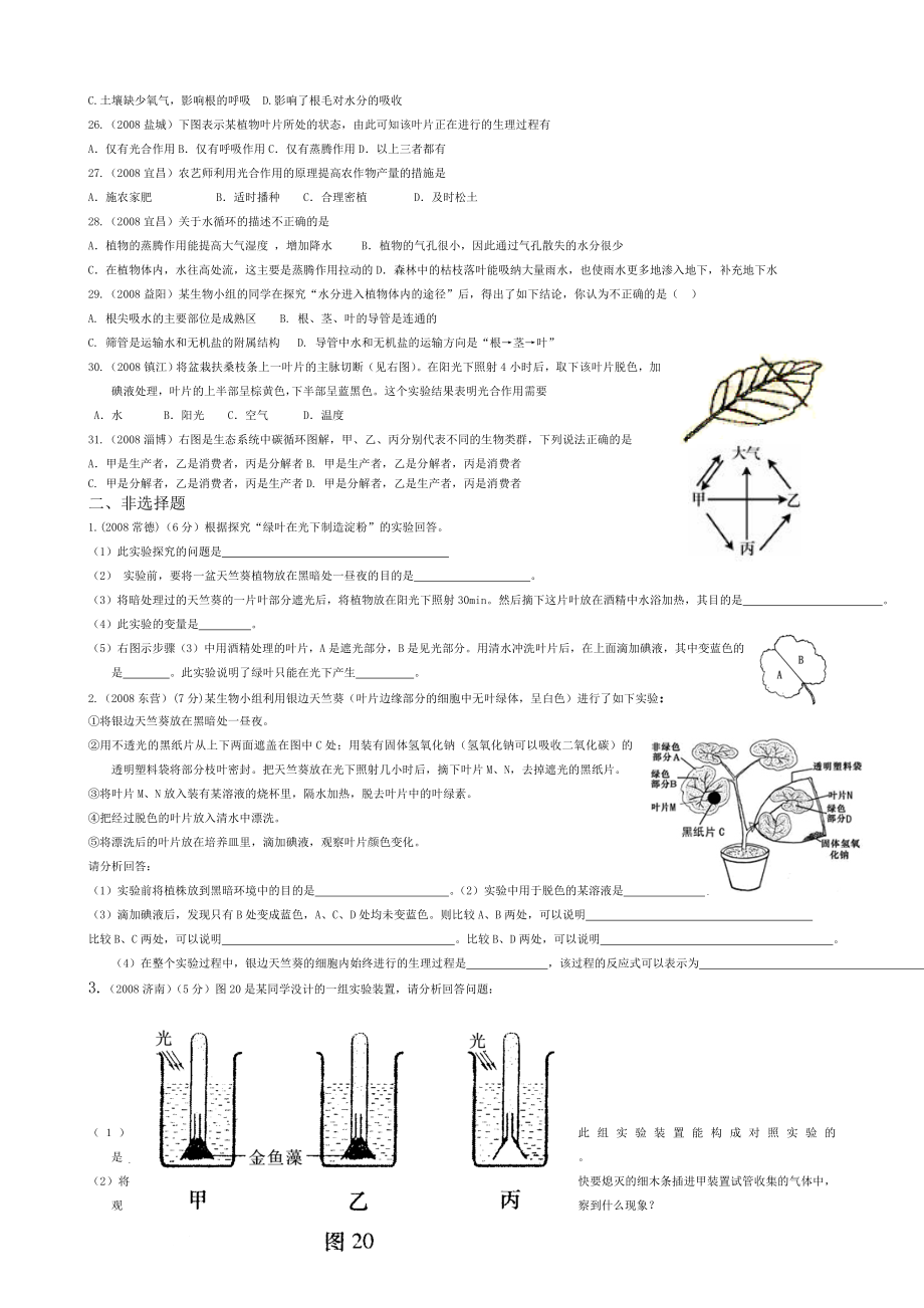 植物三大作用.doc_第3页