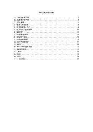 SAPBW用户与权限管理系统文档.doc