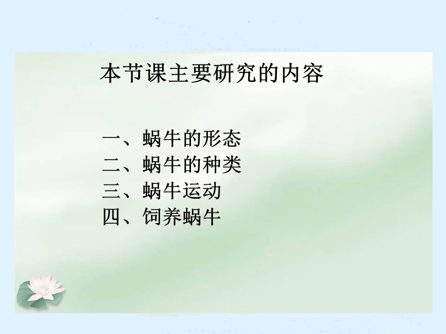 《蜗牛（一）》教学课件.ppt_第3页