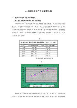 九龙坡区房地产发展前景分析.doc