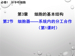 《细胞器—系统内的分工合作》课件（1）.ppt