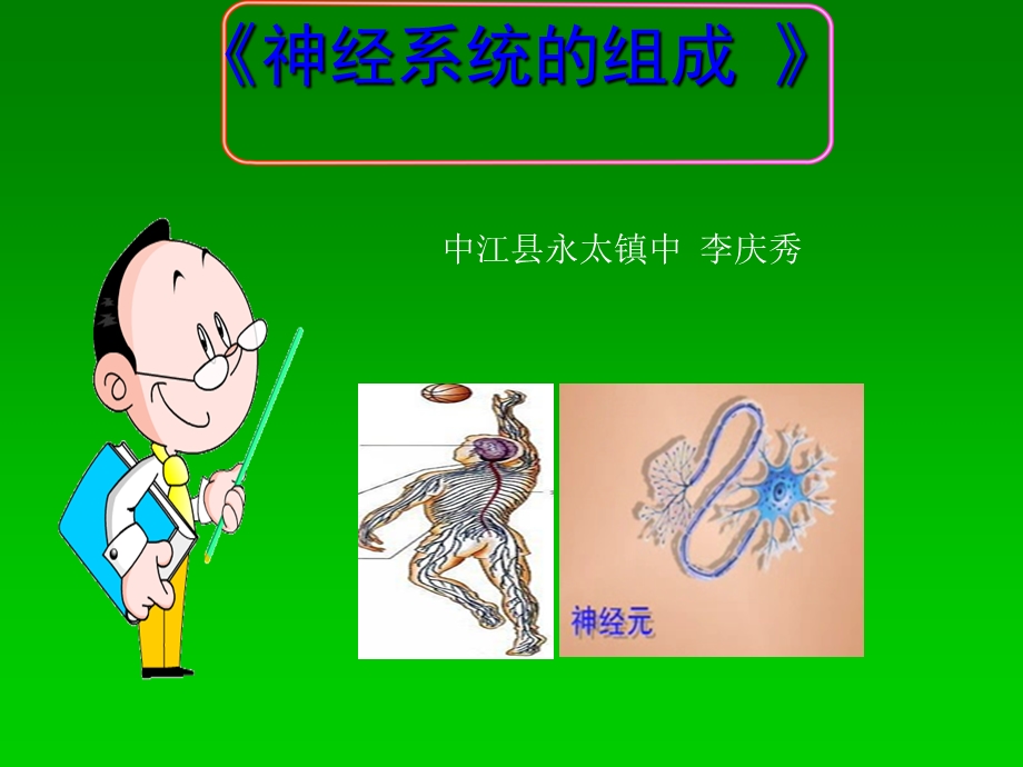 《神经系统的组成》.ppt_第1页