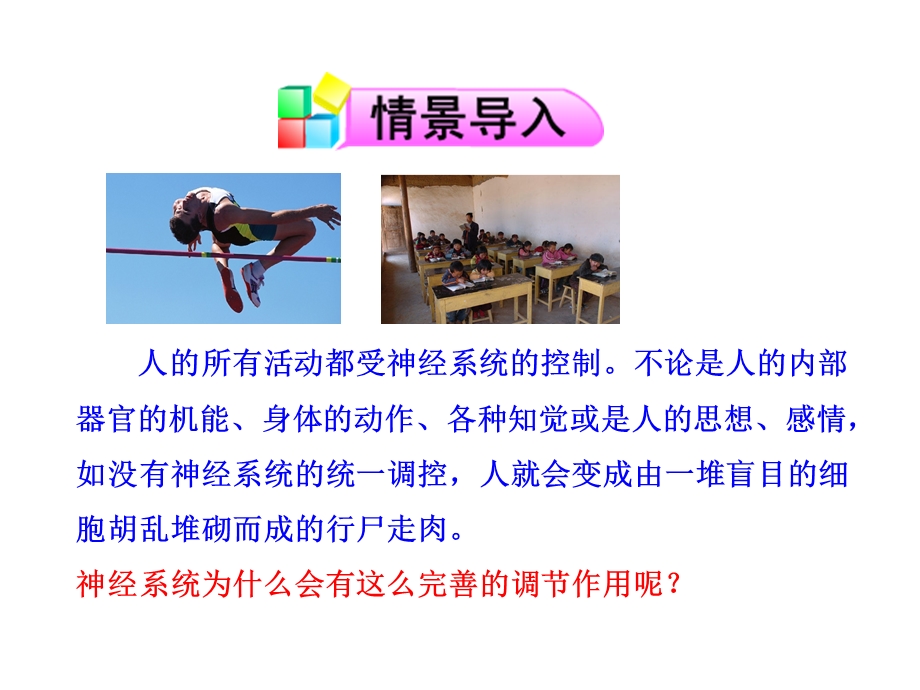 《神经系统的组成》.ppt_第2页