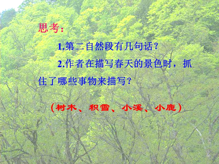 《美丽的小兴安岭》PPT课件(修改版).ppt_第3页