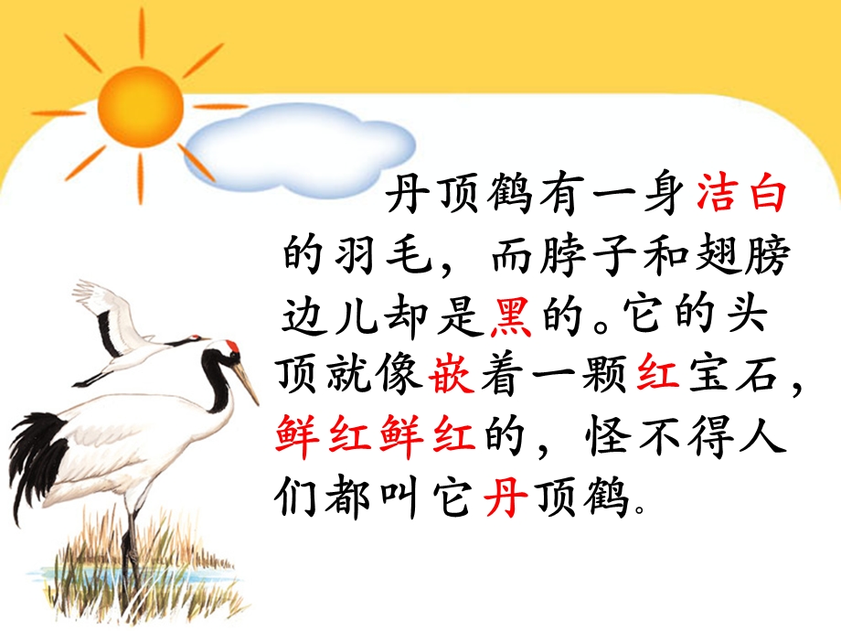 《美丽的丹顶鹤》课件(1).ppt_第3页