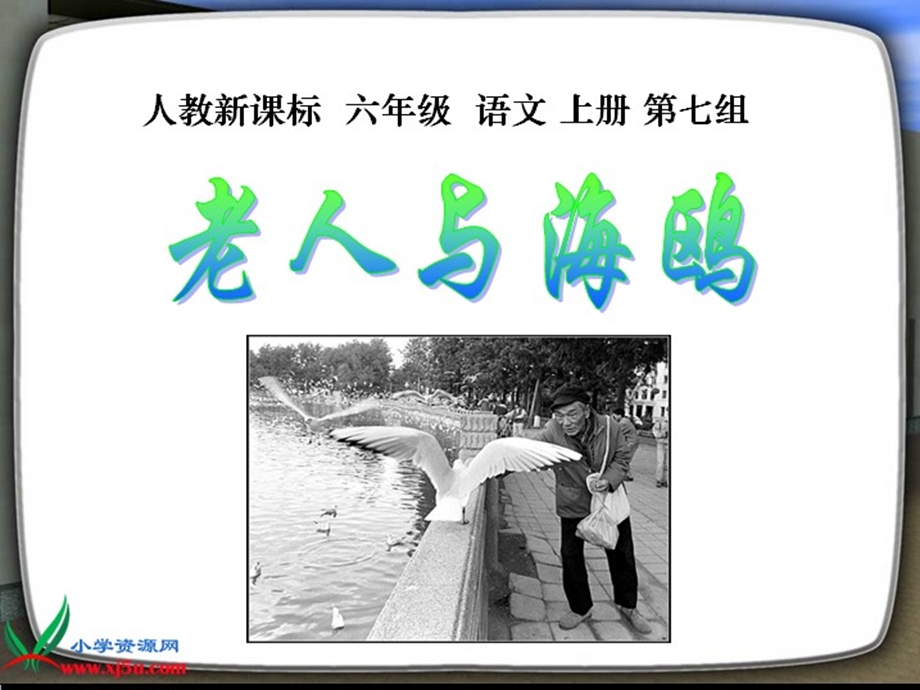 《老人与海鸥》课件 (5).ppt_第3页