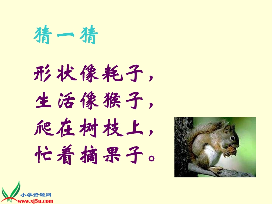 《松鼠和松果》终极完美版PPT课件.ppt_第1页