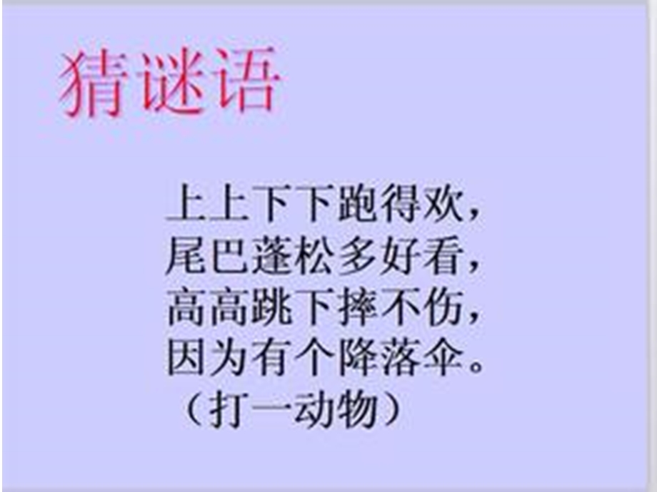 《跑进家里的松鼠》课件.ppt_第1页