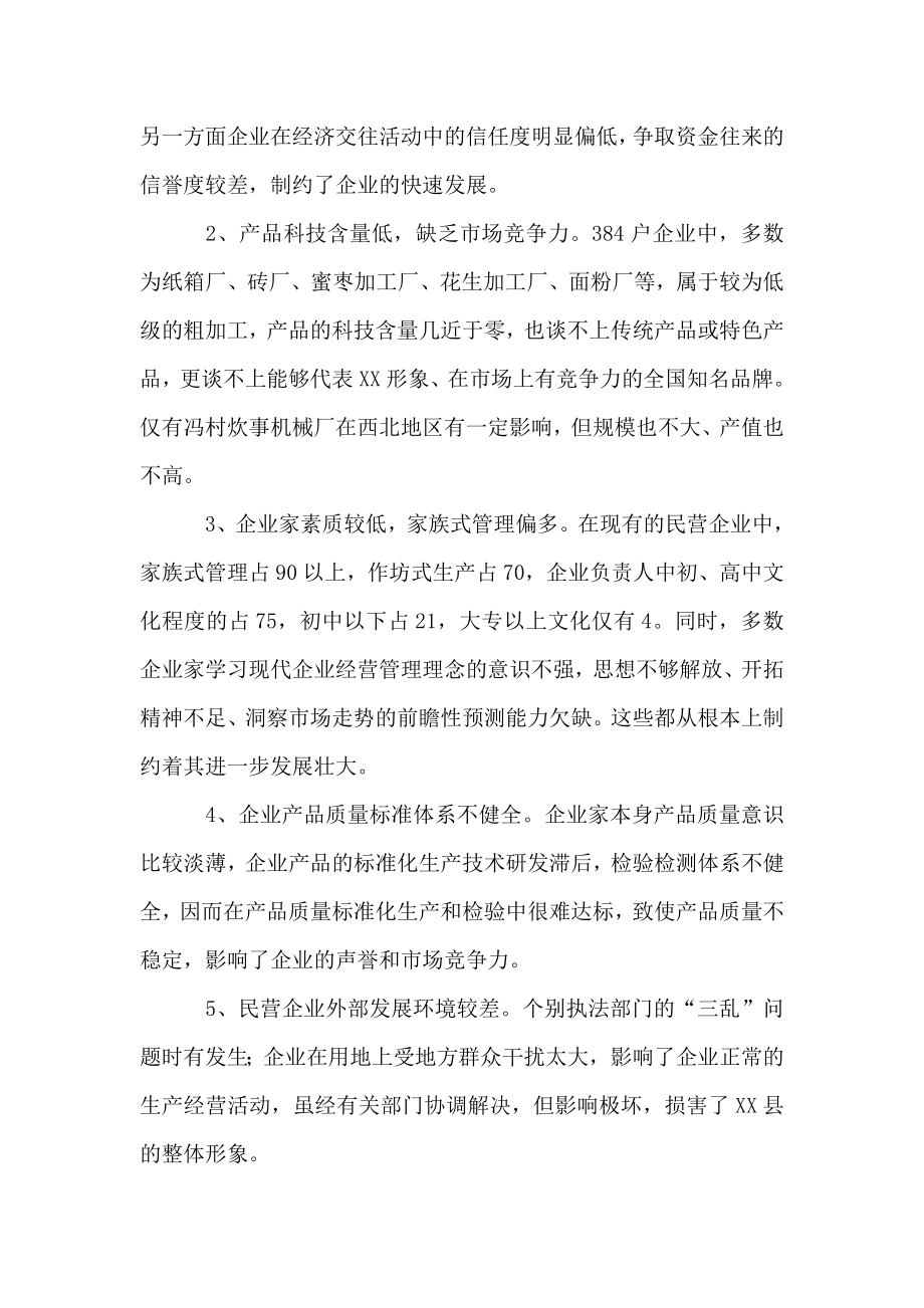 对X县民营企业发展状况的调查与思考.doc_第2页