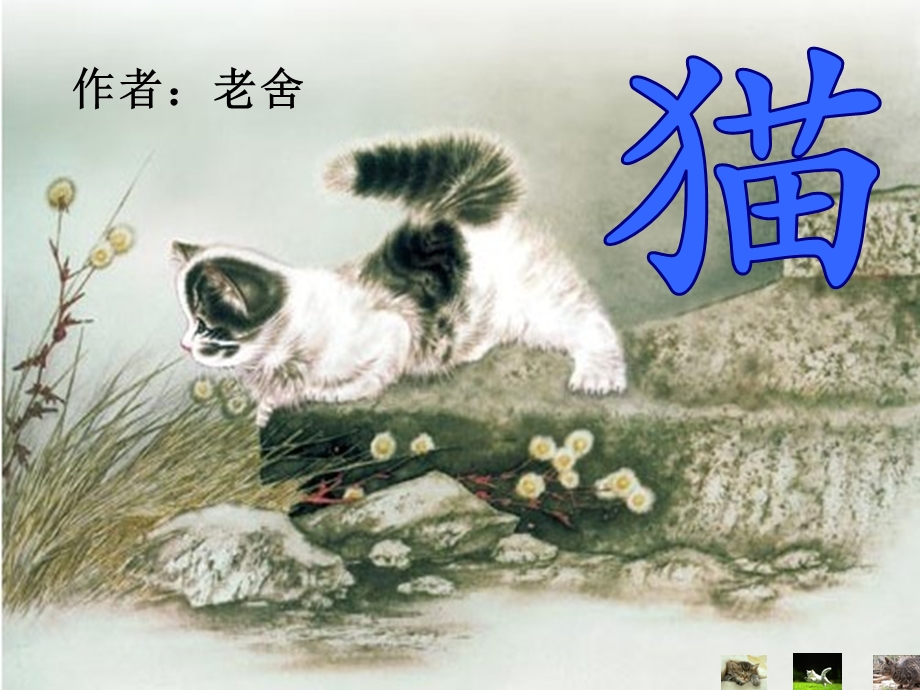 《猫》第二课时--公开课课件.ppt_第1页