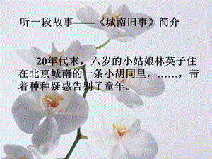 《爸爸的花儿落了》.ppt