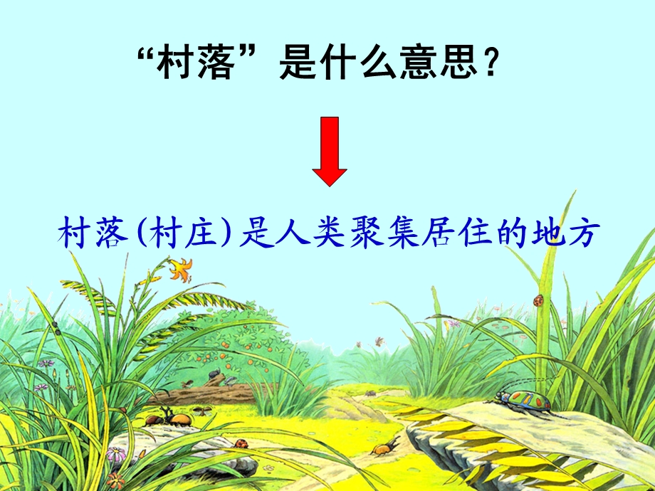 《草虫的村落》课件 (5).ppt_第2页