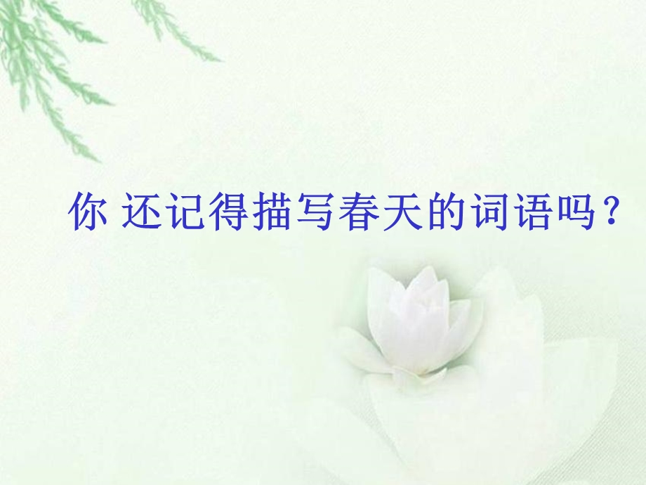 《春雨的色彩》课件（语文S版一年级下册课件）.ppt_第2页