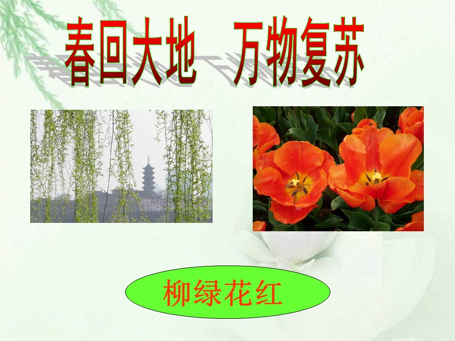 《春雨的色彩》课件（语文S版一年级下册课件）.ppt_第3页