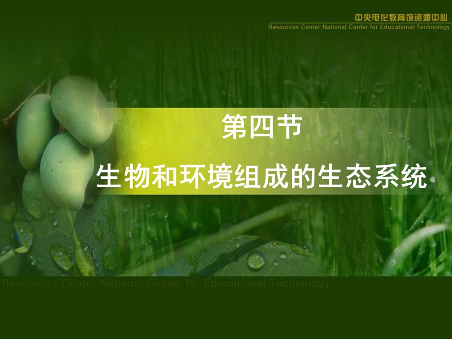 《生物与环境组成生态系统》课件.ppt_第1页