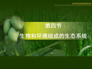 《生物与环境组成生态系统》课件.ppt