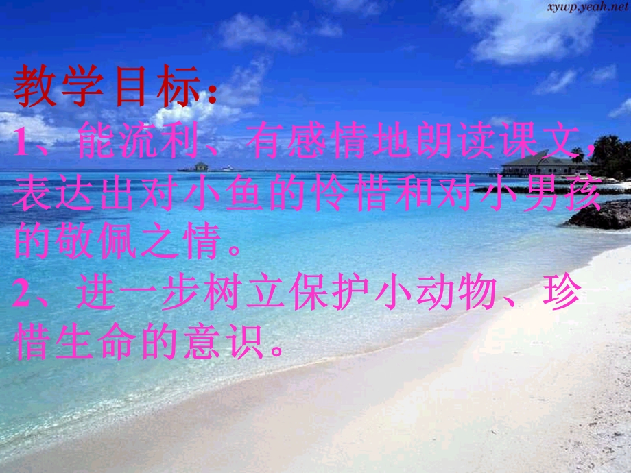 《浅水洼里的小鱼》第二课时PPT.ppt_第3页