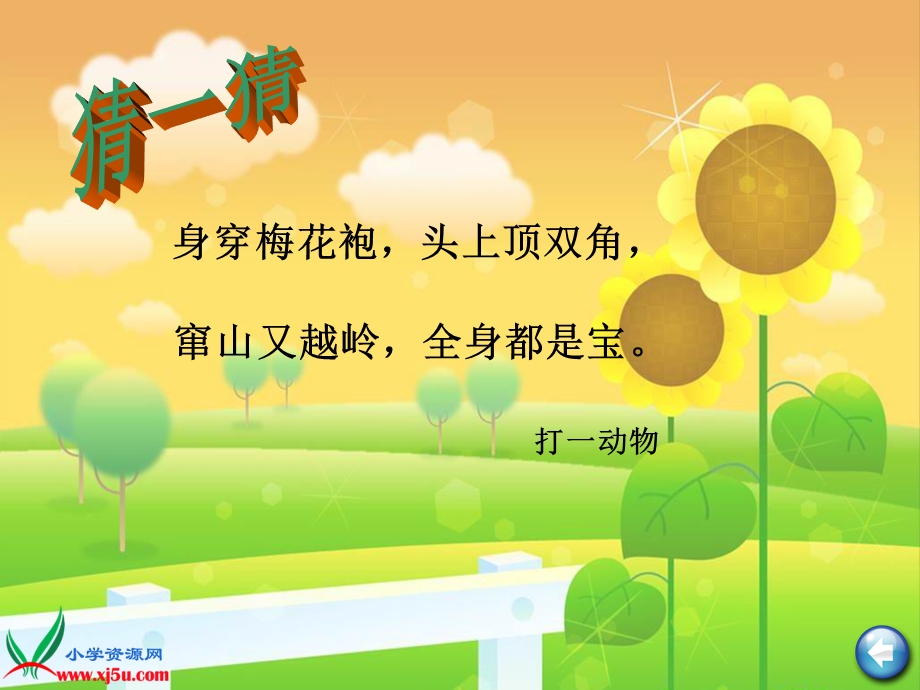 《狮子和鹿》课件 (2).ppt_第1页