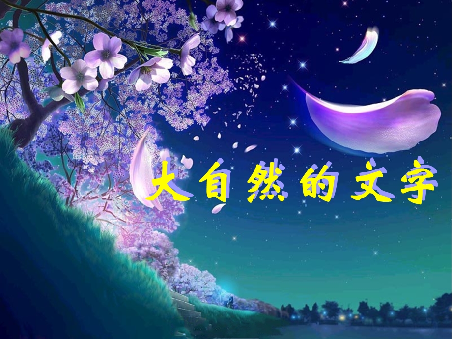 《大自然的文字》课件.ppt_第1页