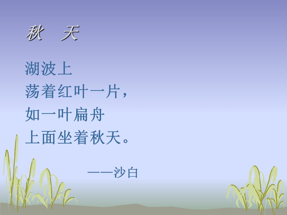 《大自然的文字》课件.ppt_第2页