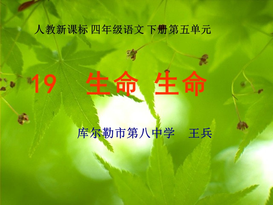 《生命生命２》PPT课件.ppt_第1页