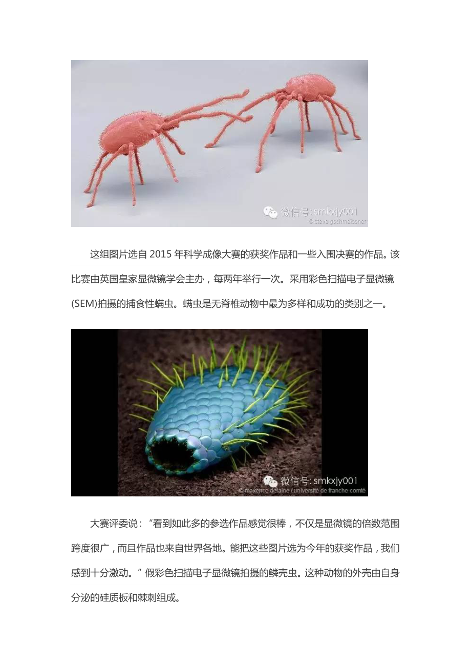 最新不可思议的微观世界文档汇编.docx_第2页