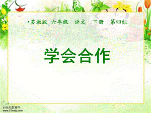 《学会合作》PPT.ppt