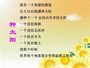 《四个太阳》课件1.ppt