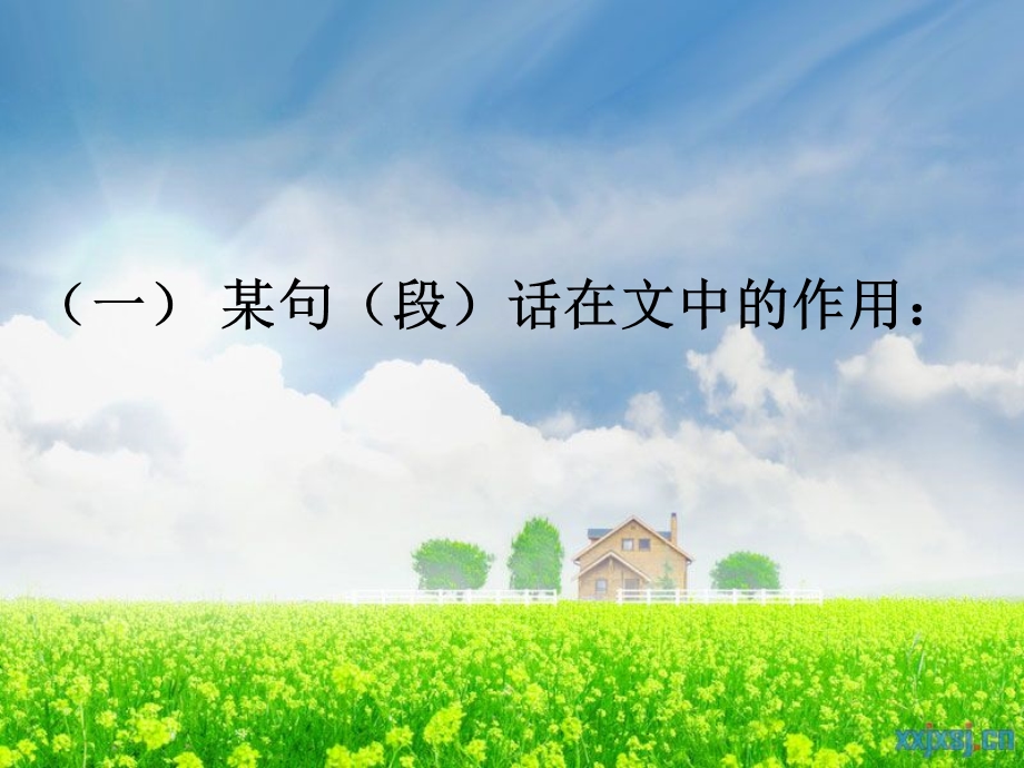 《小学语文阅读题答题技巧》课件.ppt_第2页