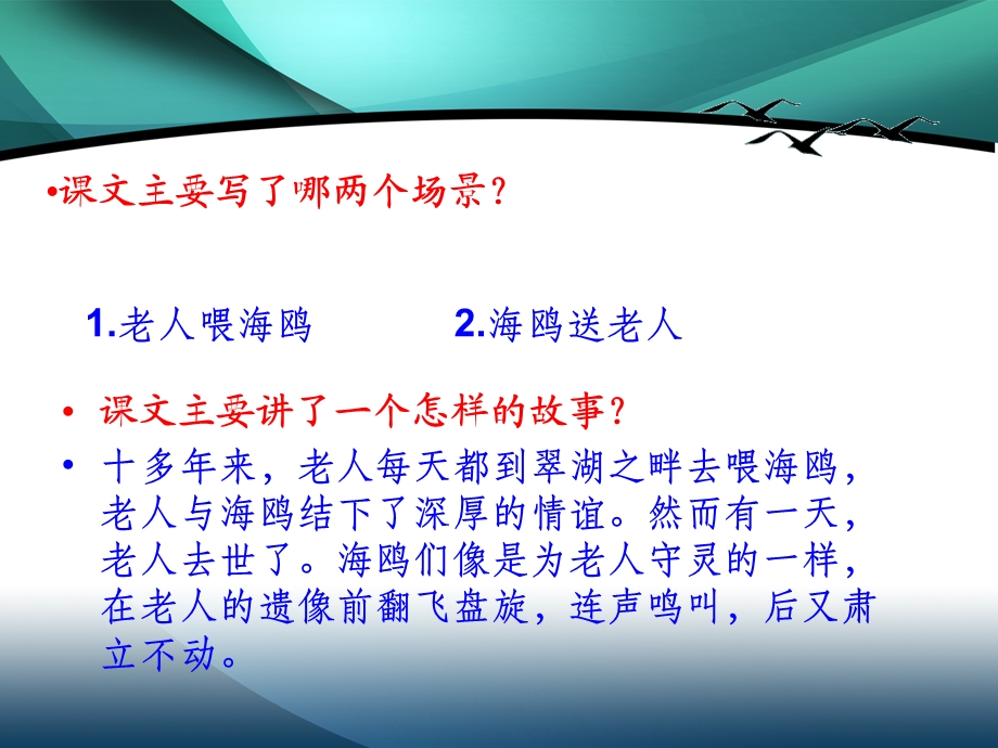 《老人与海鸥》公开课课件1.ppt_第3页