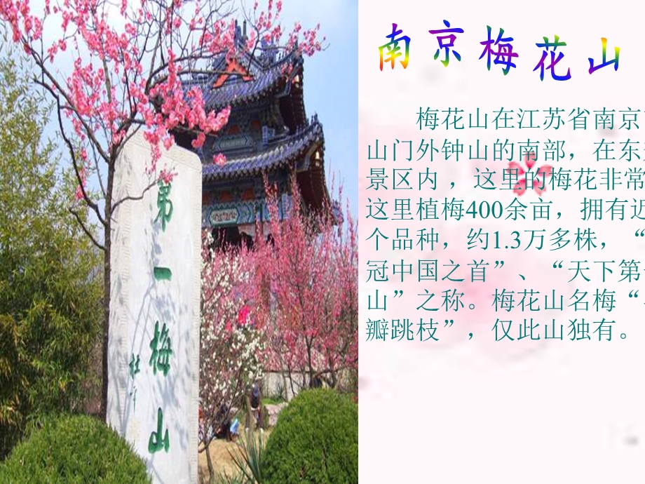 《春到梅花山》龙平.ppt_第2页