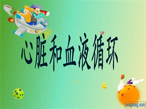 《心脏和血液循环》课件.ppt