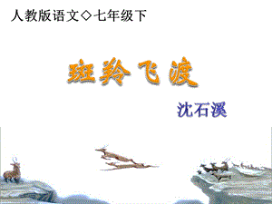 《斑羚飞渡》课件 (2).ppt