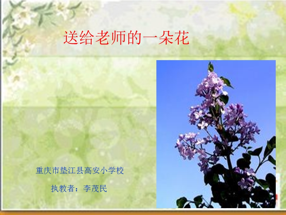 《送给老师的一朵花》课件.ppt_第1页