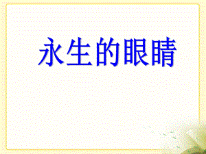 《永生的眼睛》教学课件1 (2).ppt