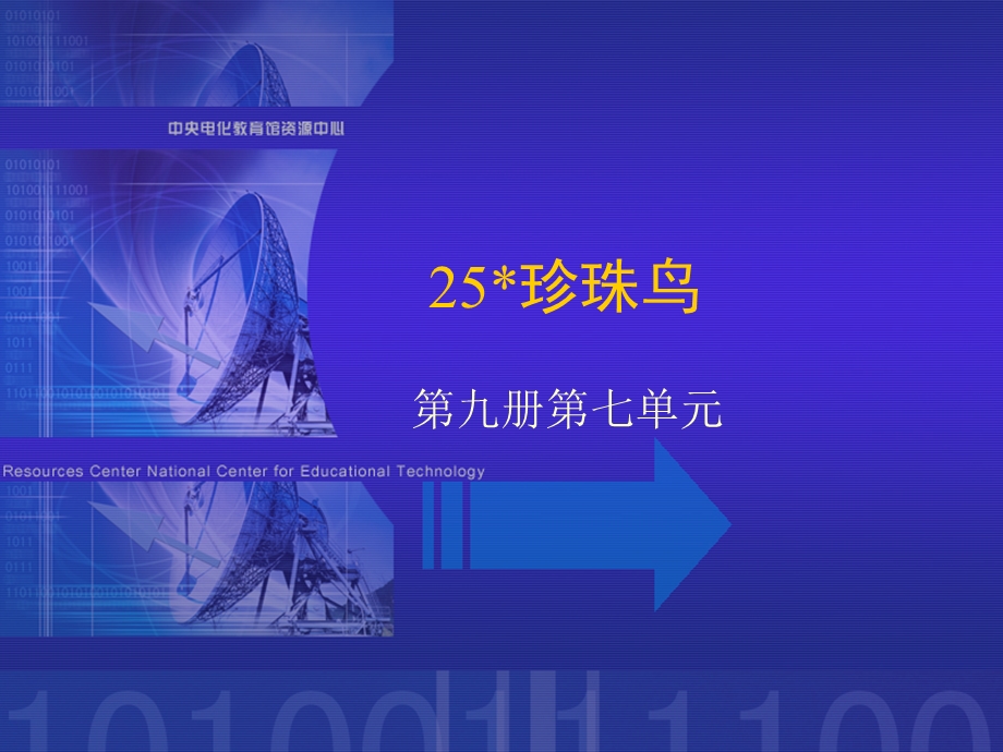 《珍珠鸟》课堂演示课件.ppt_第1页