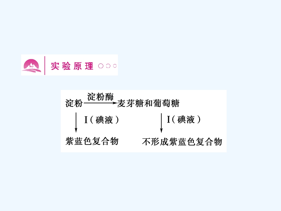 《金版新学案》2011高三生物一轮 实验十 温度对酶活性的影响课件 选修1.ppt_第2页