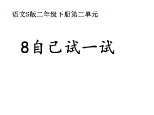 《自己试一试》课件5(1).ppt