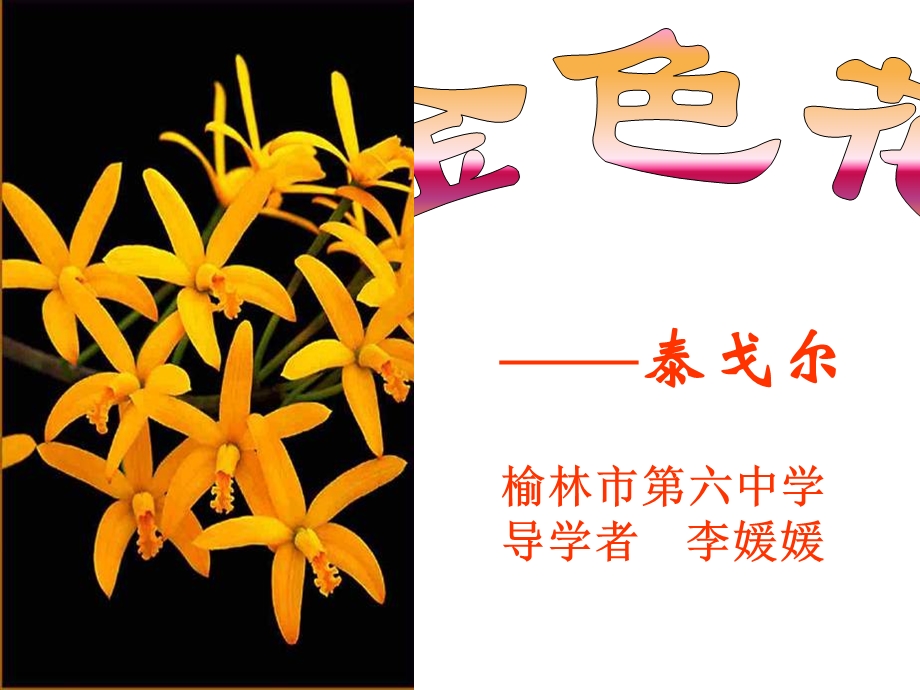 《金色花》教学课件.ppt_第1页