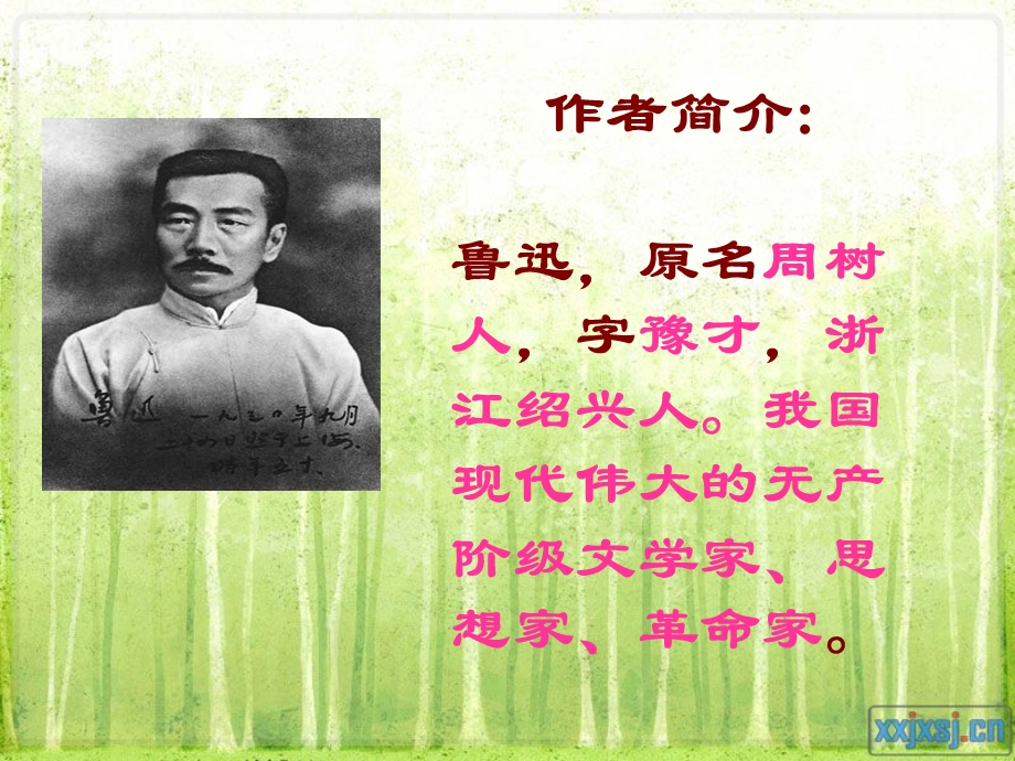 《祝福》精品课件.ppt_第3页