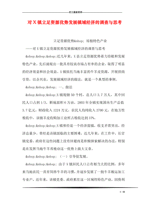 对X镇立足资源优势发展镇域经济的调查与思考.doc