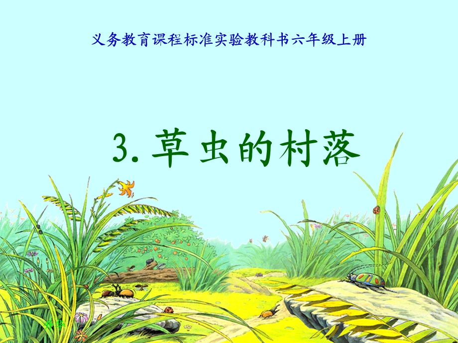 《草虫的村落》课件 (4).ppt_第1页